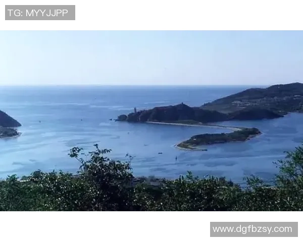 北京攀岩队区域防守战术深度分析与实战应用探讨