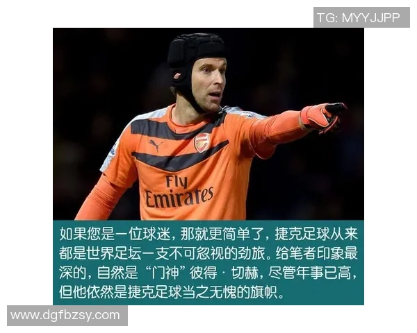 捷克足球运动员斯柯达的职业生涯与成就回顾及未来展望