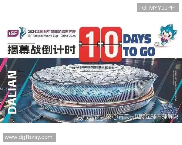 激情四溢的足球节庆盛典让我们共同感受绿茵场上的友谊与团结